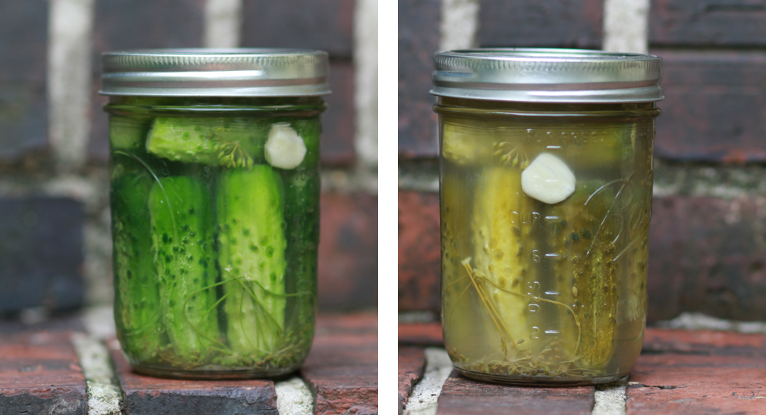 two mason jars with pickles