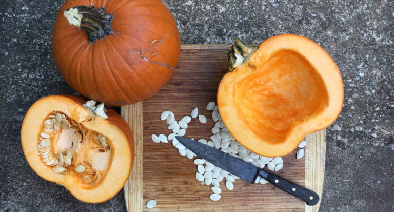 pumpkin puree